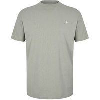 jack wills camiseta sandleford para hombre