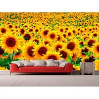 fotomural vinilo campo de girasoles 100 x 70 cm