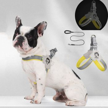 Arnés Reflectante para Perro, 2 Piezas, Estilo Chaleco de Malla Transpirable con Correa, Sin Tirones, para Perros Pequeños y Medianos