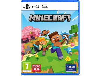 PS5 Minecraft