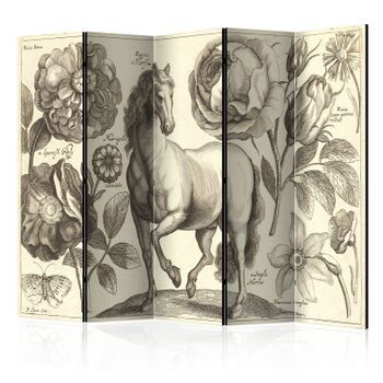 Biombo - Horse Ii (225x172 Cm)