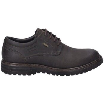 Josef Seibel Zapatos Hombre BLUCHER IMPERMEABLE ERROLL-50 PIEL MARRO para hombre