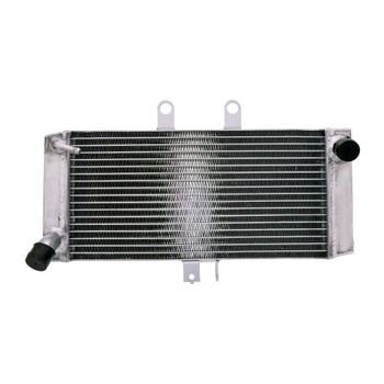 Refrigerador motor Suzuki GSF 650 Bandit '07- agua
