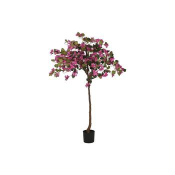 Planta Pe 80x80x150 Buganvilla Fucsia