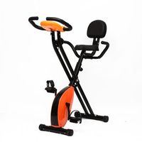 bicicleta estatica con respaldo lumbar