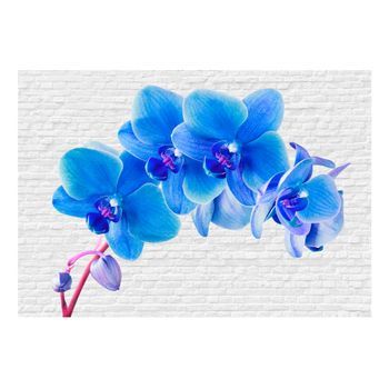 Papel Pintado 3d - Estimulación Azul (350x245 Cm)