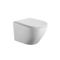 wc inodoro suspendido empotrado rimless blanco mate  vater colgante de ceramica blanco mate con montaje a pared