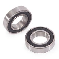 eclat seismic rear cassette hub bearing set