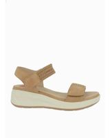 de dcutillas 31612 camel