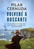 volvere a buscarte