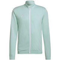 adidas chaqueta deporte entrada 22 para hombre