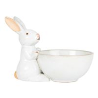 tazon de porcelana blanca con conejo
