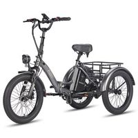 bicicleta electrica fafrees f20 mate - motor 250w bateria 48v20ah 20 neumaticos freno de disco hidraulico - gris plomo