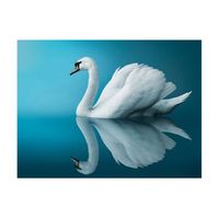 papel pintado 3d - cisne - reflejo 400x309 cm