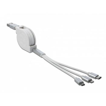 Cable USB DeLOCK 85850 0,98 m USB 2.0 Plata Blanco