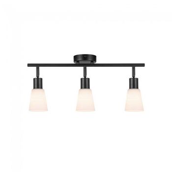 Regleta de techo cole (3 luces)