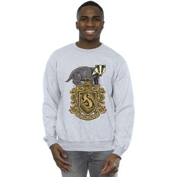 Harry Potter Jersey Hufflepuff para hombre
