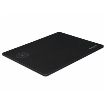 Alfombrilla Delock 12595 342x283mm Negro Monocromo