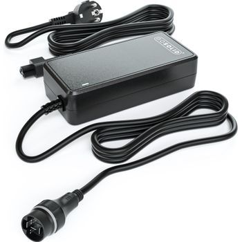 Cargador Pasc9 Compatible Con Yamaha In-tube 36v X1r-10 Batería Go Solid!