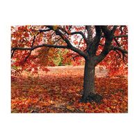 papel pintado 3d - un arbol otoal 300x231 cm