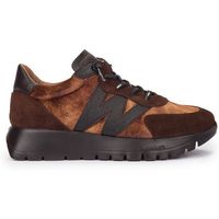 wonders deportivas moda a-24111 para mujer
