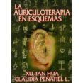 la auriculoterapia en esquemas