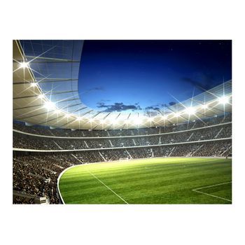 Papel Pintado 3d - Estadio Nacional (200x154 Cm)