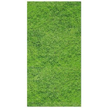 Panorama Alfombra Exterior Césped 80x250 Cm
