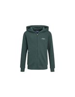 chaqueta jack and jones great b2s logo zip magical forest nino