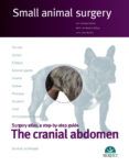 the cranial abdomen small animal surgery
