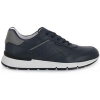 nerogiardini zapatillas sauvage grigio para hombre