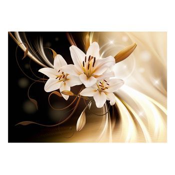 Papel Pintado 3d - Circle Of Light (400x280 Cm)