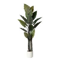 planta artificial colocasia de 230 cm