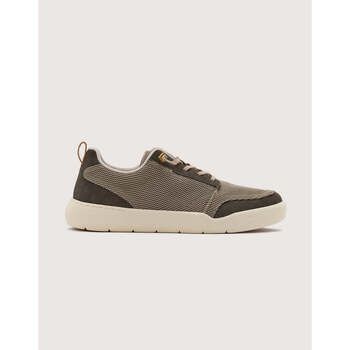Koala Bay Zapatillas Chaussures de sport kaki - Primus para hombre