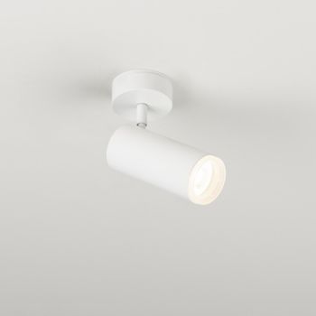 Foco de techo orientable haul