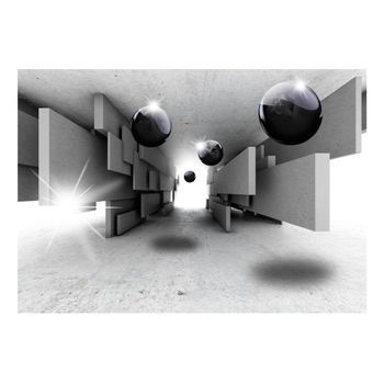 Papel Pintado 3d - Border Control (300x210 Cm)