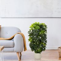 planta artificial con macetero arbol paraguas h 110 cm