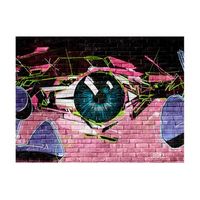 papel pintado 3d - ojo graffiti 200x154 cm