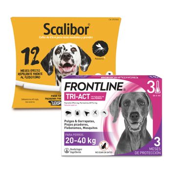 Pack de antiparasitarios: collar Scalibor + pipetas Frontline para perros - Collar 65 cm + pipetas 20-40 kg