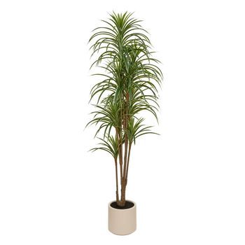 Dracena Verde Edi, 180 Cm, Con Maceta Blanca - Atmosphera Createur D'interieur