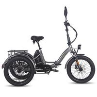 triciclo de carga electrico plegable fafrees f20 mate 48 v 21 ah gris
