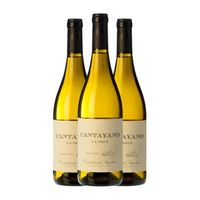 cantalapiedra vino blanco cantayano vino crianza 75 cl 13 vol pack de 3 unidades