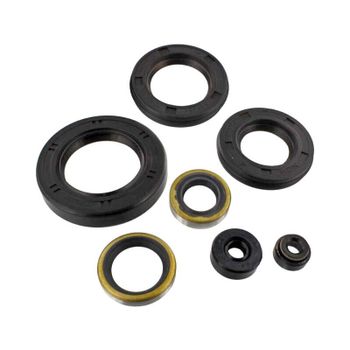 Kit retén motor Kawasaki Z 650 B Tour Max