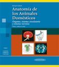 anatomia de los animales domesticos tomo 2 organos sistema ci rcula