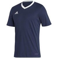 adidas camiseta entrada 22 para hombre