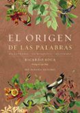 el origen de las palabras n e