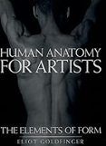 human anatomy for artists  the elements of form