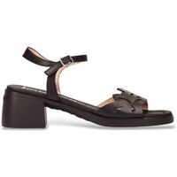 wonders sandalias d-2301 para mujer