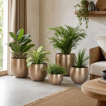 Conjunto de 5 soportes para macetas de aluminio dorado 35x35x29 cm