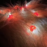 12 led heart lights